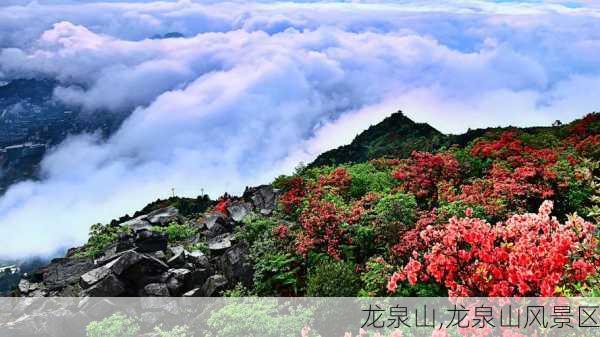 龙泉山,龙泉山风景区