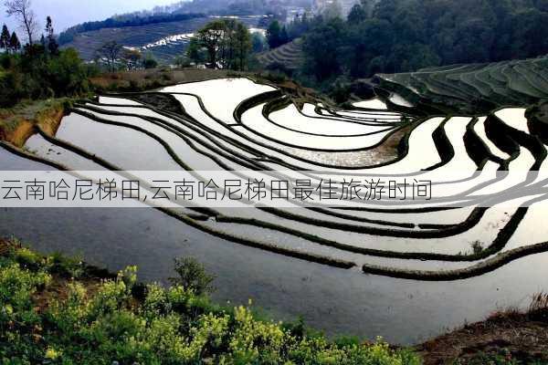 云南哈尼梯田,云南哈尼梯田最佳旅游时间