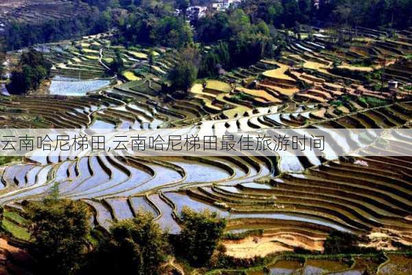 云南哈尼梯田,云南哈尼梯田最佳旅游时间