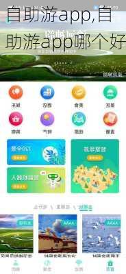 自助游app,自助游app哪个好