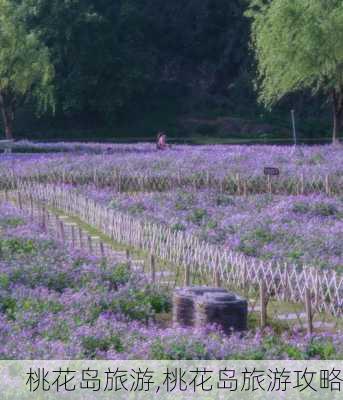 桃花岛旅游,桃花岛旅游攻略