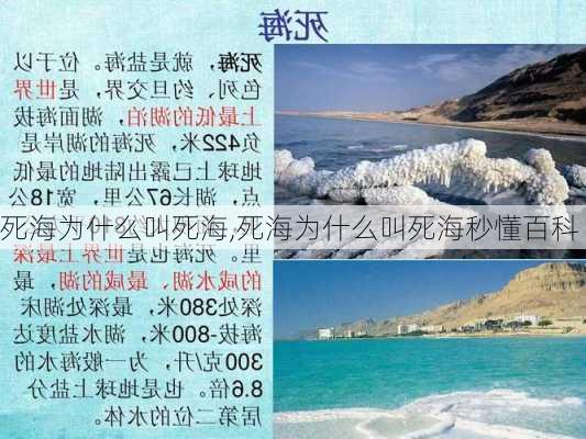 死海为什么叫死海,死海为什么叫死海秒懂百科