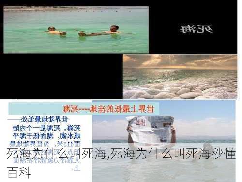 死海为什么叫死海,死海为什么叫死海秒懂百科