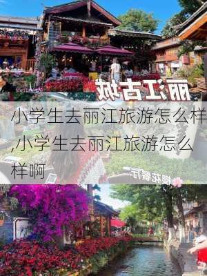 小学生去丽江旅游怎么样,小学生去丽江旅游怎么样啊