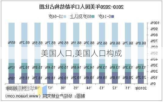 美国人口,美国人口构成