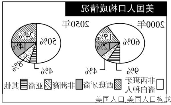 美国人口,美国人口构成