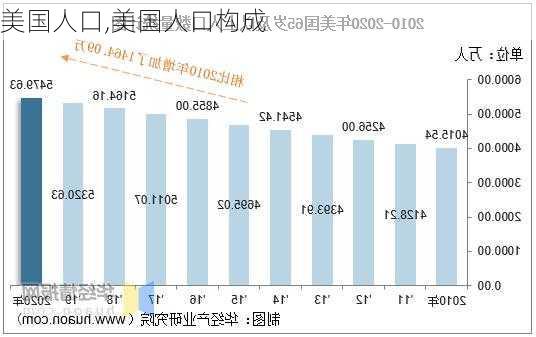 美国人口,美国人口构成