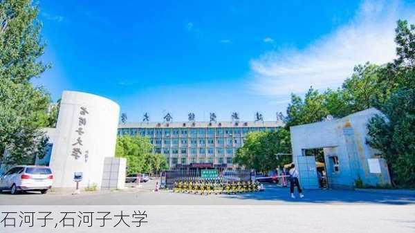 石河子,石河子大学