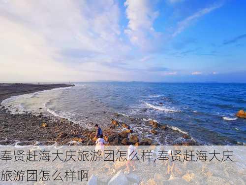 奉贤赶海大庆旅游团怎么样,奉贤赶海大庆旅游团怎么样啊