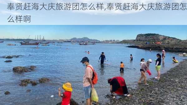 奉贤赶海大庆旅游团怎么样,奉贤赶海大庆旅游团怎么样啊