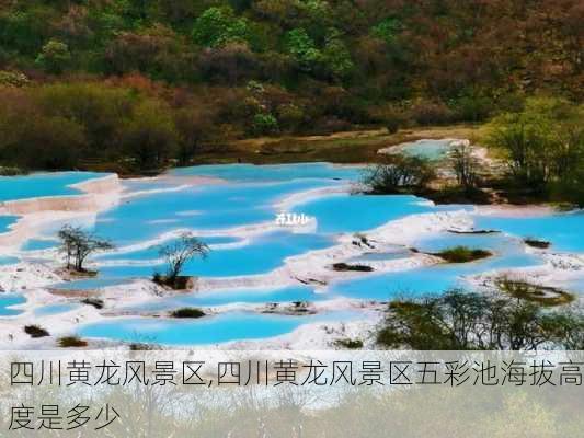 四川黄龙风景区,四川黄龙风景区五彩池海拔高度是多少