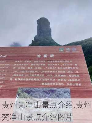 贵州梵净山景点介绍,贵州梵净山景点介绍图片