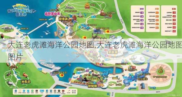 大连老虎滩海洋公园地图,大连老虎滩海洋公园地图图片