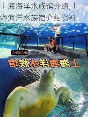 上海海洋水族馆介绍,上海海洋水族馆介绍资料