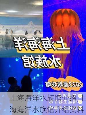 上海海洋水族馆介绍,上海海洋水族馆介绍资料