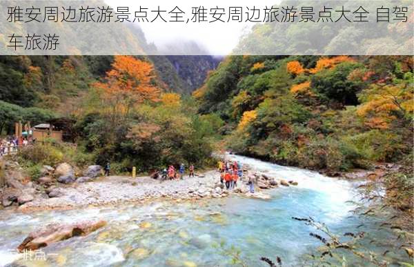 雅安周边旅游景点大全,雅安周边旅游景点大全 自驾车旅游