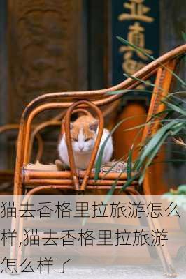 猫去香格里拉旅游怎么样,猫去香格里拉旅游怎么样了