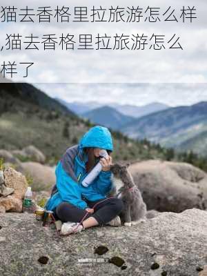 猫去香格里拉旅游怎么样,猫去香格里拉旅游怎么样了