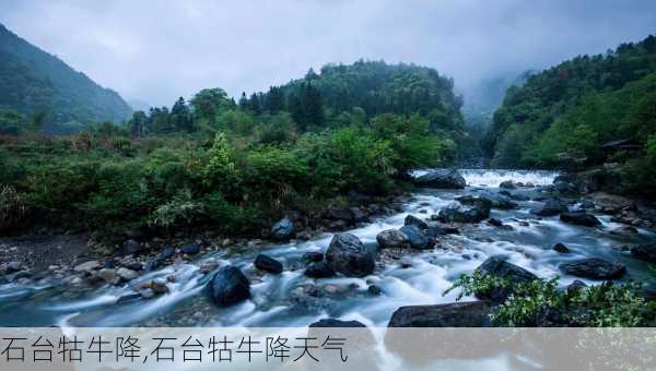 石台牯牛降,石台牯牛降天气