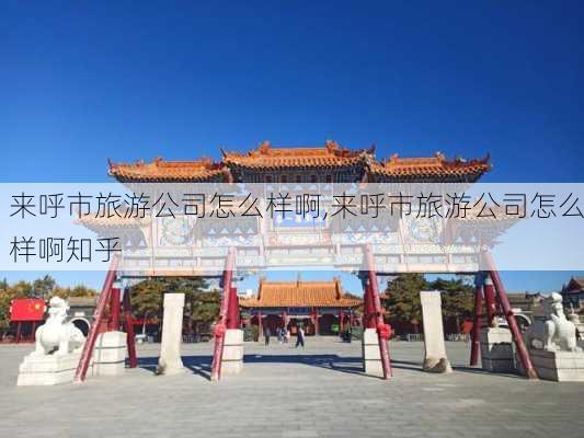 来呼市旅游公司怎么样啊,来呼市旅游公司怎么样啊知乎