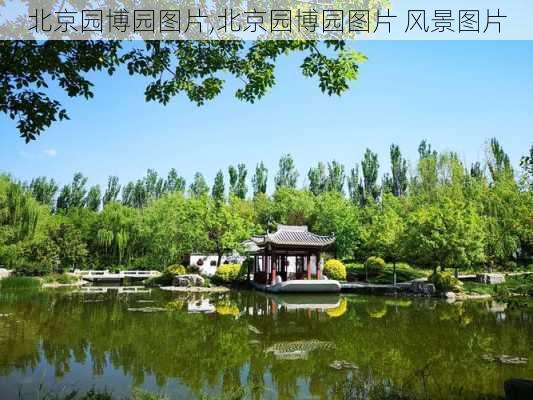 北京园博园图片,北京园博园图片 风景图片