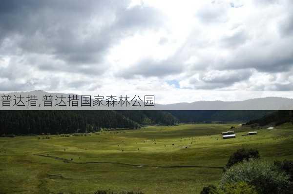 普达措,普达措国家森林公园