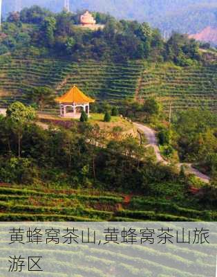 黄蜂窝茶山,黄蜂窝茶山旅游区