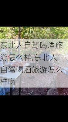 东北人自驾喝酒旅游怎么样,东北人自驾喝酒旅游怎么样啊