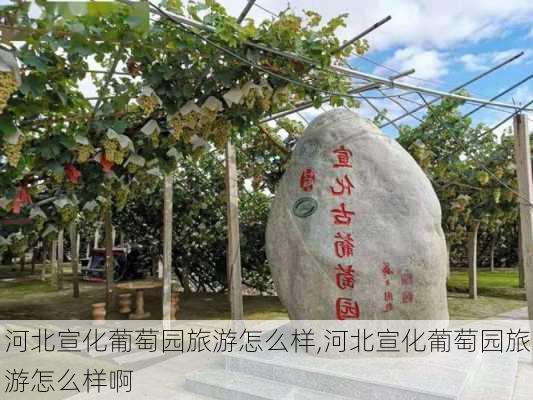 河北宣化葡萄园旅游怎么样,河北宣化葡萄园旅游怎么样啊