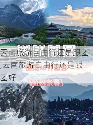 云南旅游自由行还是跟团,云南旅游自由行还是跟团好