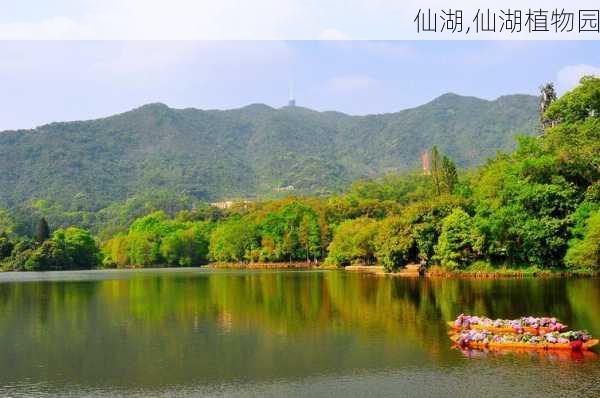 仙湖,仙湖植物园