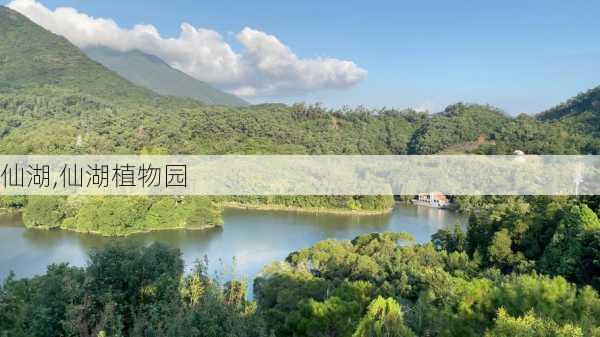 仙湖,仙湖植物园