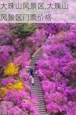 大珠山风景区,大珠山风景区门票价格