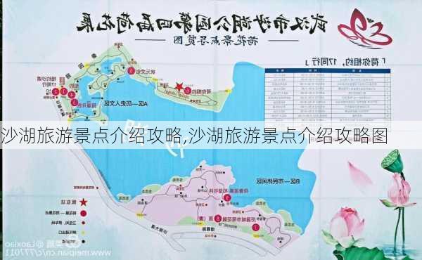 沙湖旅游景点介绍攻略,沙湖旅游景点介绍攻略图