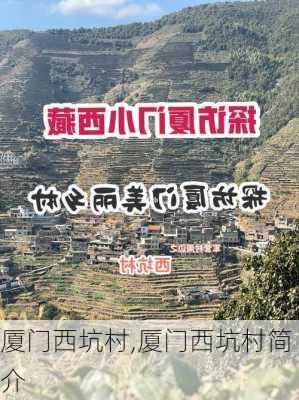 厦门西坑村,厦门西坑村简介