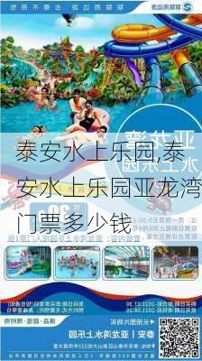 泰安水上乐园,泰安水上乐园亚龙湾门票多少钱