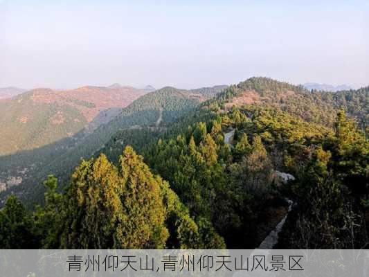 青州仰天山,青州仰天山风景区