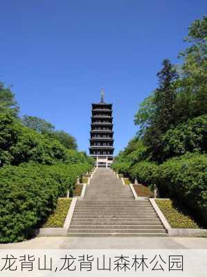 龙背山,龙背山森林公园