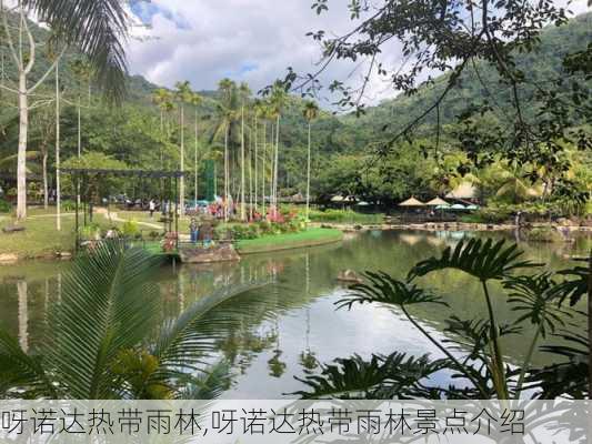 呀诺达热带雨林,呀诺达热带雨林景点介绍