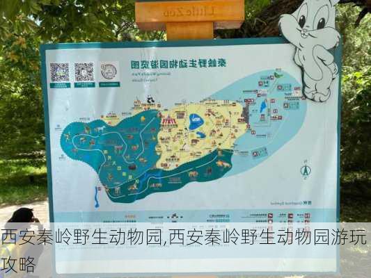 西安秦岭野生动物园,西安秦岭野生动物园游玩攻略