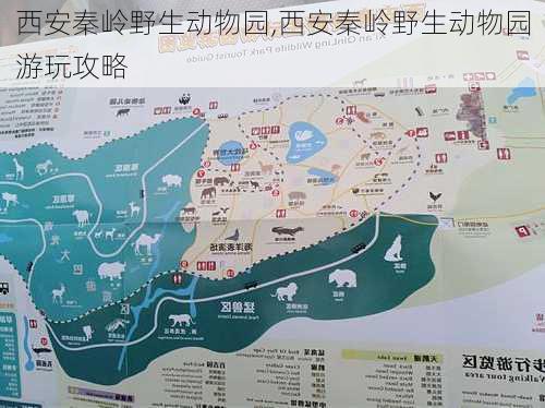 西安秦岭野生动物园,西安秦岭野生动物园游玩攻略