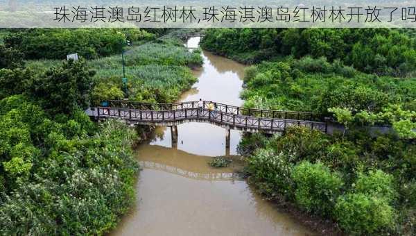 珠海淇澳岛红树林,珠海淇澳岛红树林开放了吗