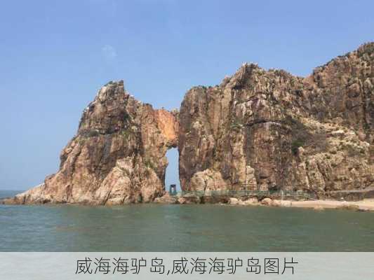 威海海驴岛,威海海驴岛图片