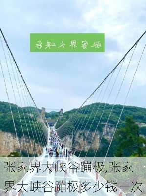 张家界大峡谷蹦极,张家界大峡谷蹦极多少钱一次