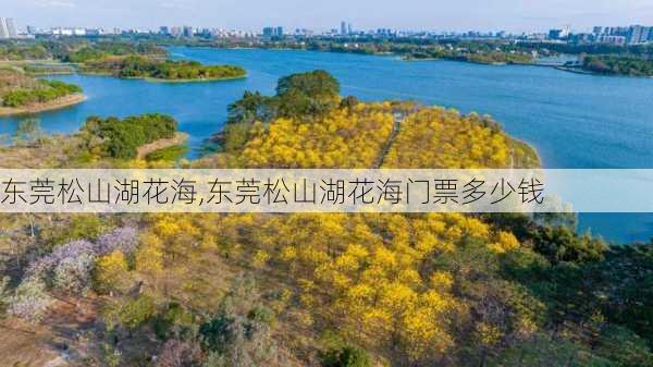 东莞松山湖花海,东莞松山湖花海门票多少钱