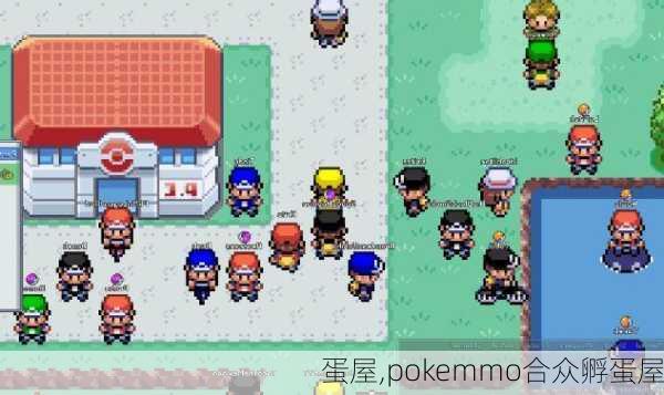 蛋屋,pokemmo合众孵蛋屋