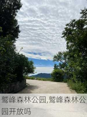 鹫峰森林公园,鹫峰森林公园开放吗