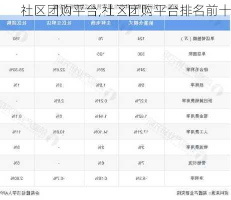 社区团购平台,社区团购平台排名前十