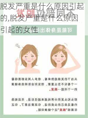 脱发严重是什么原因引起的,脱发严重是什么原因引起的女性