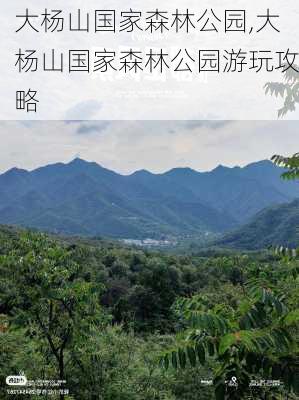 大杨山国家森林公园,大杨山国家森林公园游玩攻略